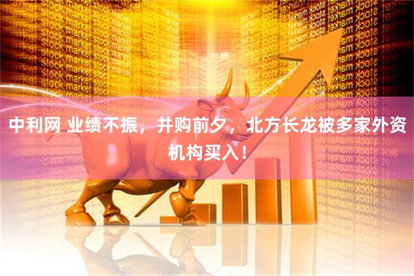 中利网 业绩不振，并购前夕，北方长龙被多家外资机构买入！