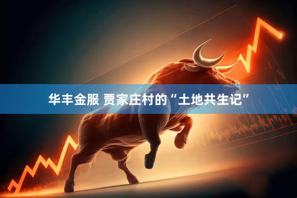 华丰金服 贾家庄村的“土地共生记”
