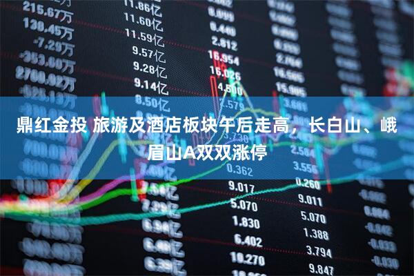 鼎红金投 旅游及酒店板块午后走高，长白山、峨眉山A双双涨停