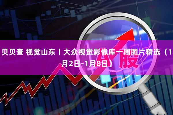 贝贝查 视觉山东丨大众视觉影像库一周图片精选（1月2日-1月8日）