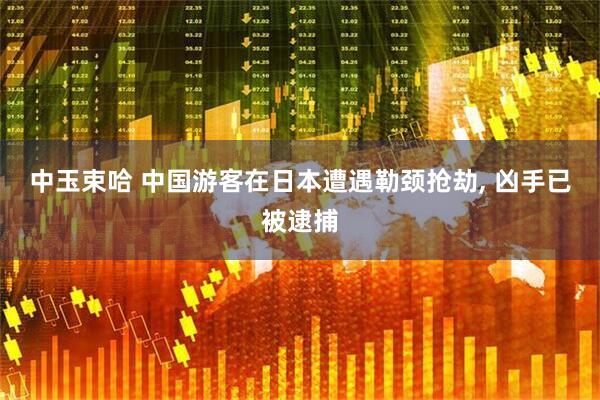 中玉束哈 中国游客在日本遭遇勒颈抢劫, 凶手已被逮捕