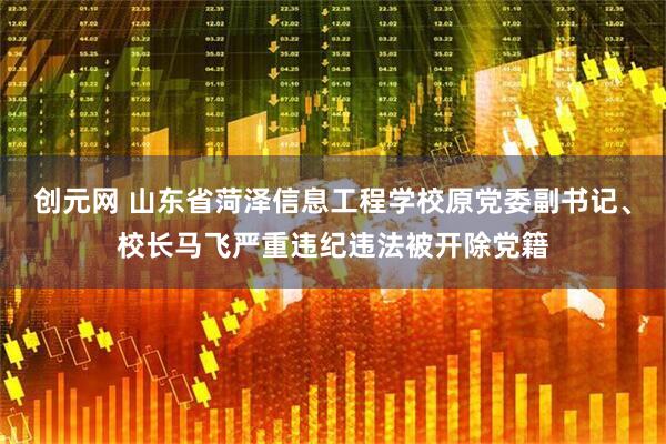 创元网 山东省菏泽信息工程学校原党委副书记、校长马飞严重违纪违法被开除党籍