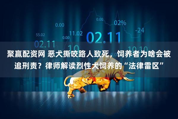 聚赢配资网 恶犬撕咬路人致死，饲养者为啥会被追刑责？律师解读烈性犬饲养的“法律雷区”