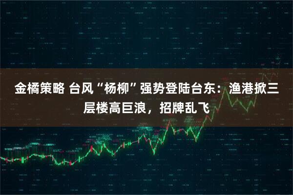 金橘策略 台风“杨柳”强势登陆台东：渔港掀三层楼高巨浪，招牌乱飞