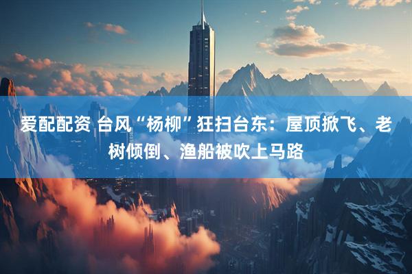 爱配配资 台风“杨柳”狂扫台东：屋顶掀飞、老树倾倒、渔船被吹上马路