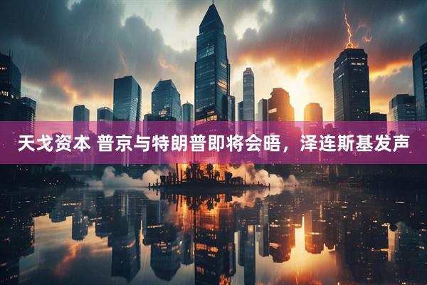 天戈资本 普京与特朗普即将会晤，泽连斯基发声