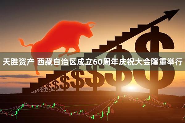 天胜资产 西藏自治区成立60周年庆祝大会隆重举行