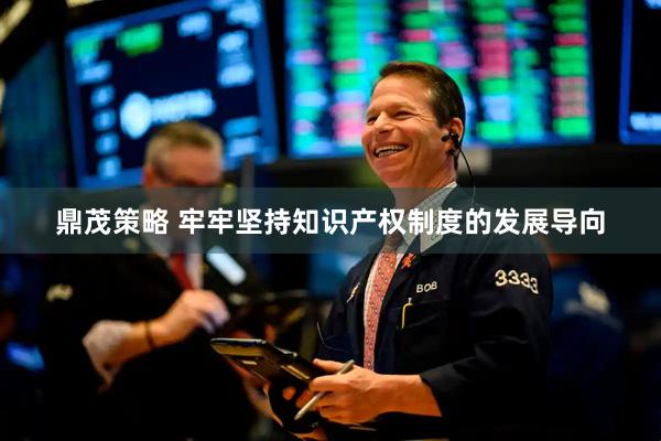 鼎茂策略 牢牢坚持知识产权制度的发展导向