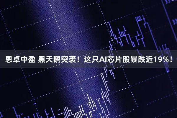 恩卓中盈 黑天鹅突袭！这只AI芯片股暴跌近19%！