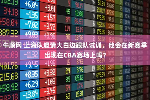 牛顺网 上海队邀请大白边跟队试训，他会在新赛季出现在CBA赛场上吗？